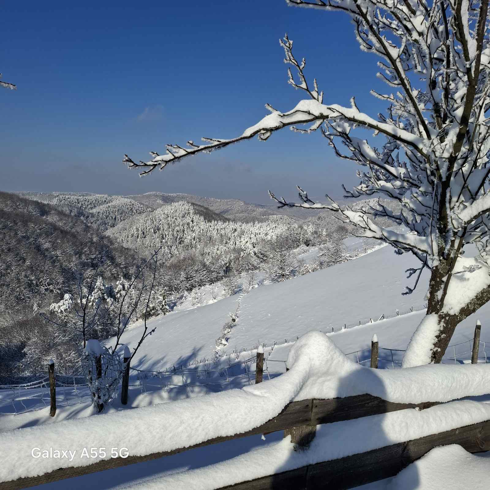Vaša rezidencija - Bild 15 - Kraljicini Konaci Doboj
